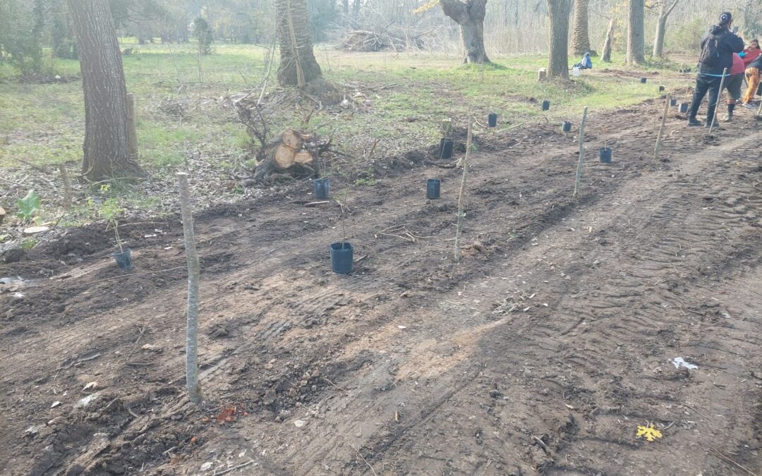 Guardaparques denuncia “acciones destructivas” en el Parque Pereyra Iraola