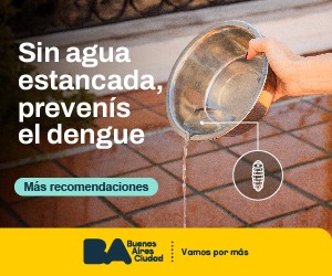 Sin agua estancada, prevenís el dengue