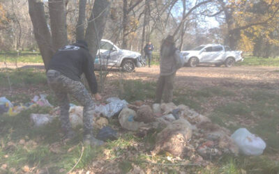 Horror en Parque Pereyra: Matanza de animales y sospechas de ritual