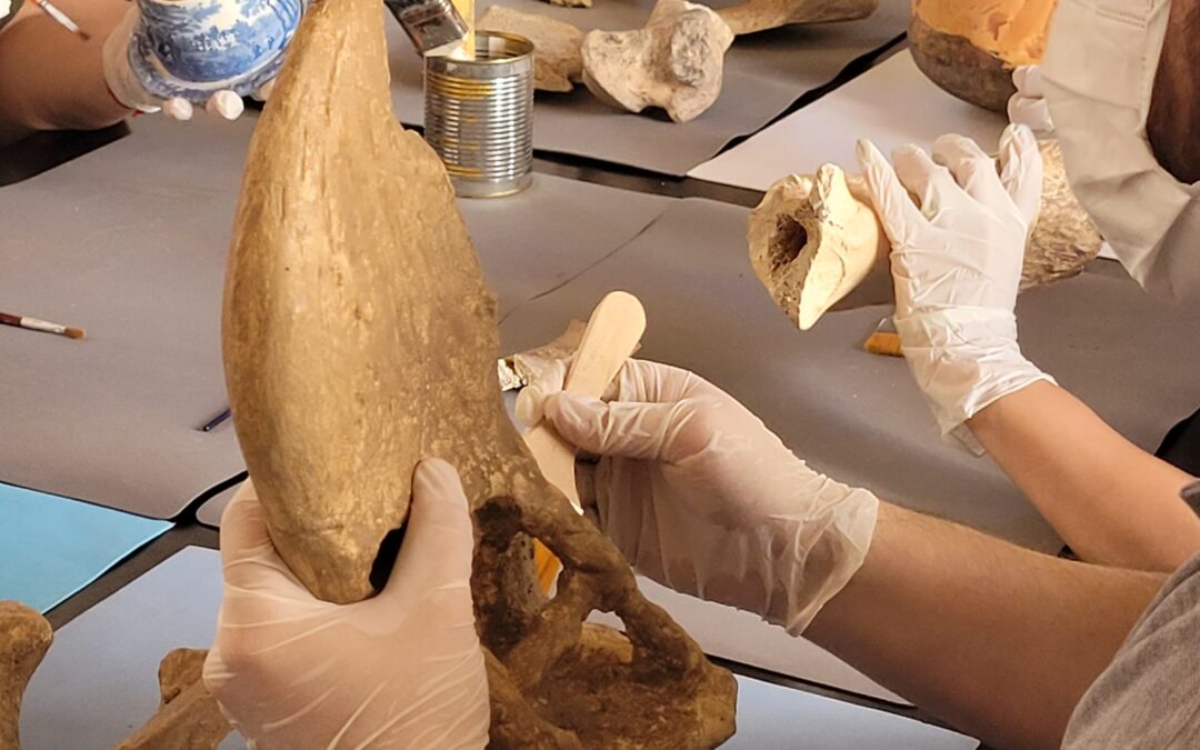 Abrió la convocatoria para la segunda edición de la Semana del Patrimonio de la Ciudad