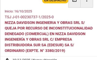 El Tribunal Superior de Justicia de CABA decidirá sobre la indexación de deudas en el Caso Nizza Davidson