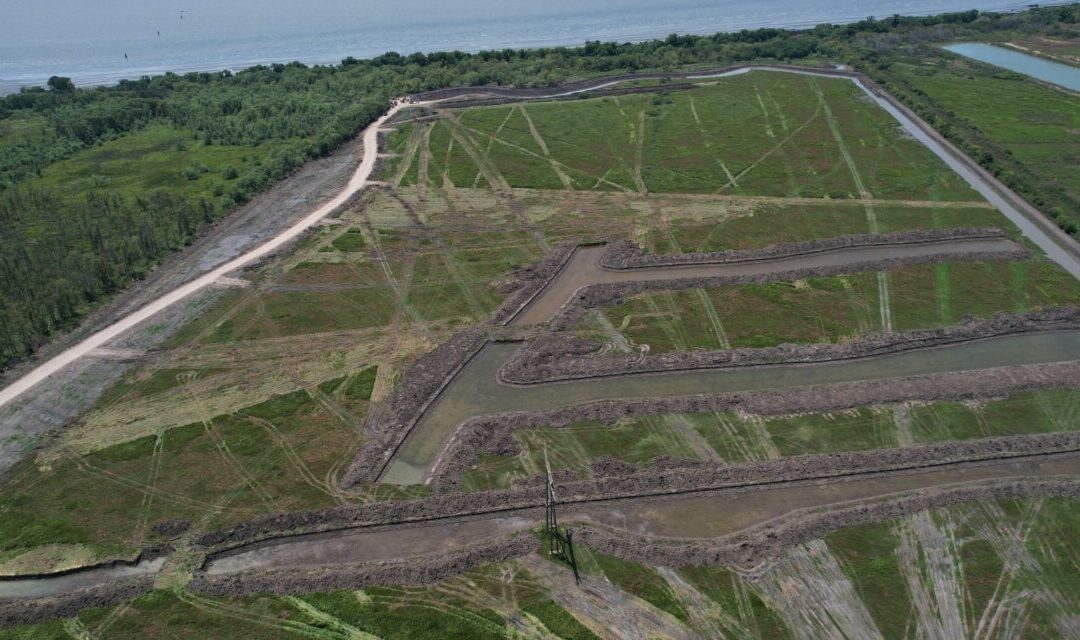 Preocupación de ambientalistas por la urbanización en bañados y bosques nativos de la región