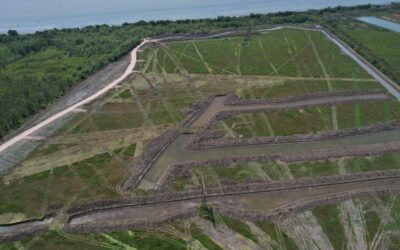 Preocupación de ambientalistas por la urbanización en bañados y bosques nativos de la región